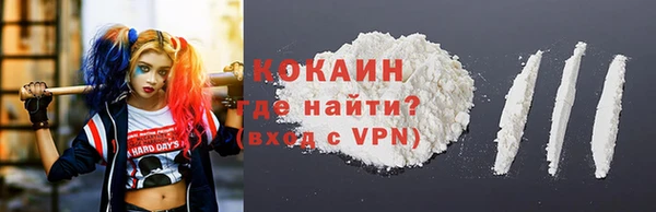 дурь Алексин
